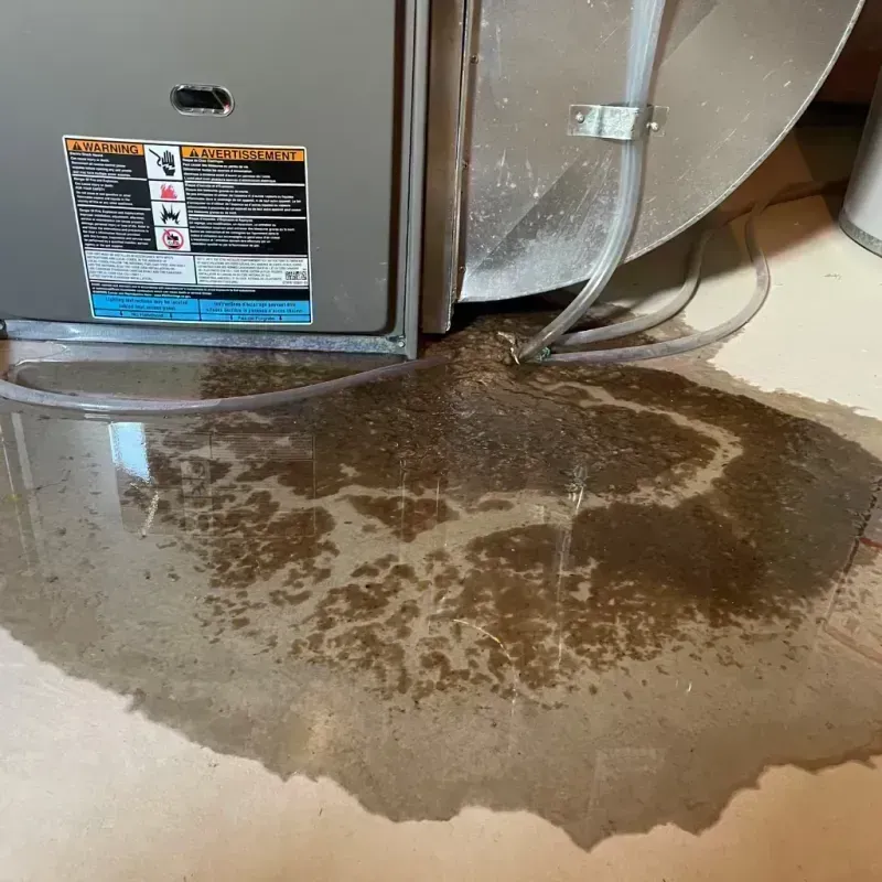 Appliance Leak Cleanup in Wamego, KS